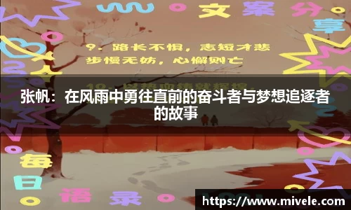 张帆：在风雨中勇往直前的奋斗者与梦想追逐者的故事